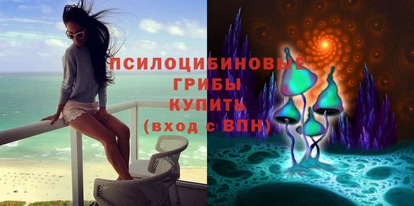 гашик Кукмор