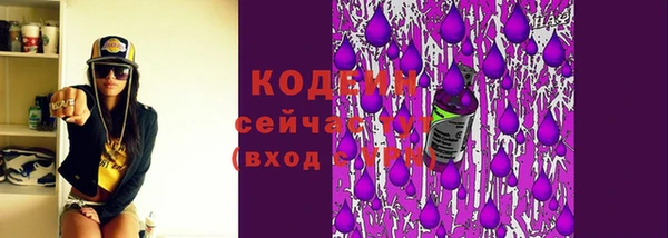 гашик Кукмор